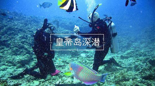 春雨直播app
