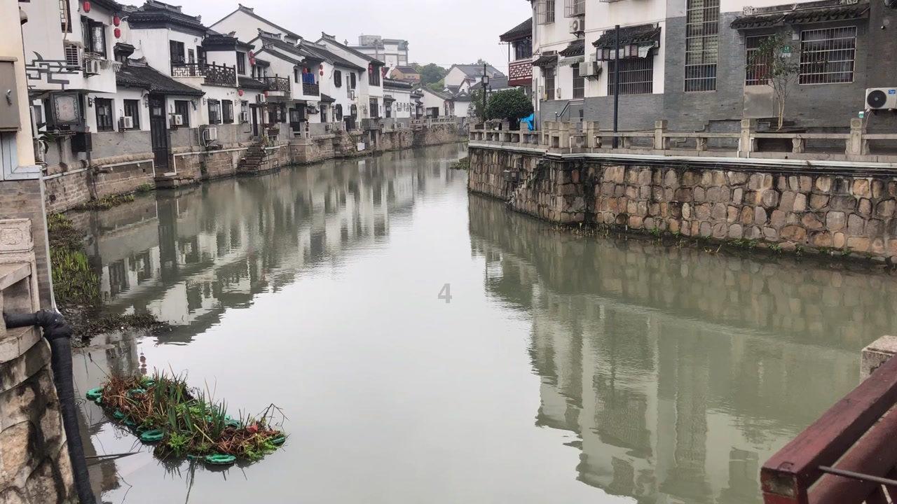 海绵宝宝寻珍宝
